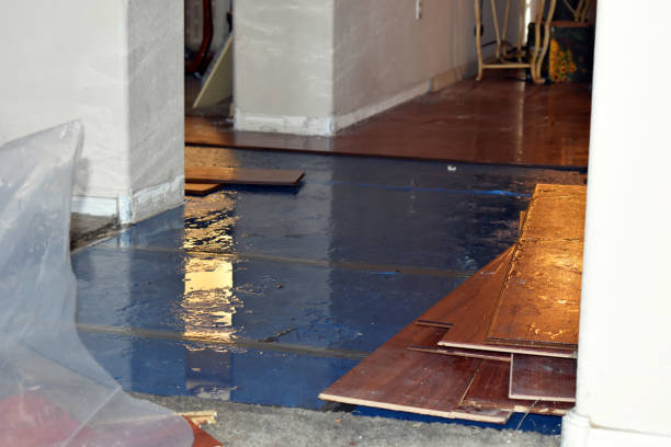 Professional Flood Damage Restoration technician working in Troy, IL